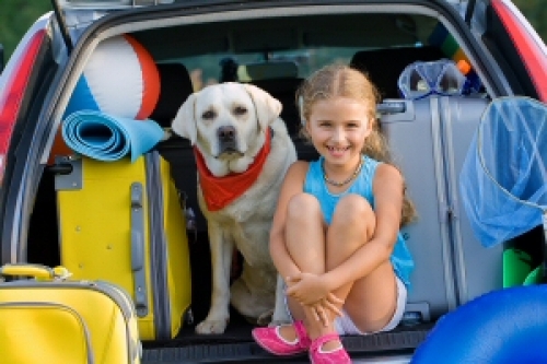 Preparation is the Key to a Safe Summer Road Trip